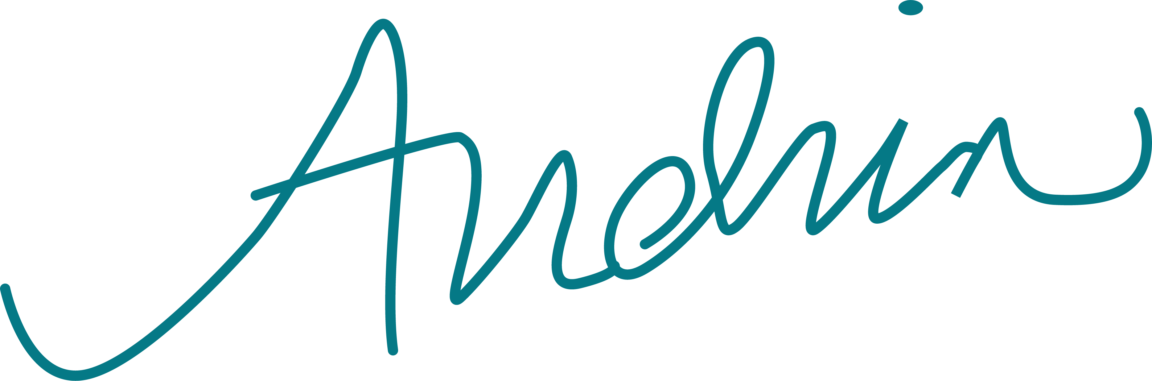 author signature