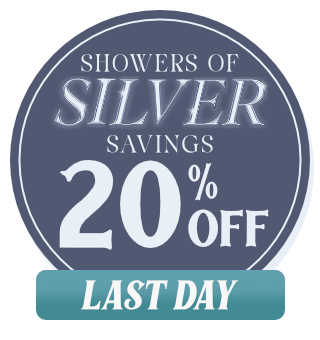 Last Day! Showers of Silver Sale 20% Off