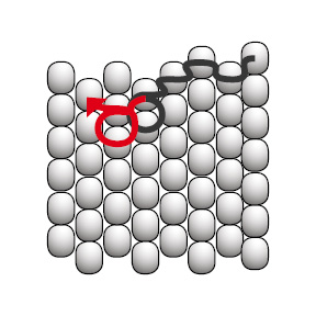 bead circle